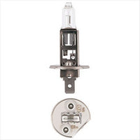 Narva H1 P14.5s Globe 12V 100W