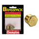 CAP BRASSPK 3/8 BSP TAPER PLUG