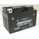 POWERSONIC P/SPORT BATTERY SEALED MF 12V