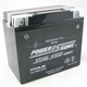 POWERSONIC P/SPORT BATTERY SEALED MF 12V