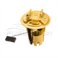 FUELMISER FUEL PUMP INTERNAL ELECTRIC