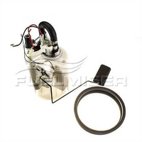 FUELMISER FUEL PUMP INTERNAL ELECTRIC