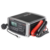 PROJECTA IC800-24
