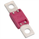 PROJECTA Maxi Blade Fuse 250A Pink
