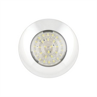 LED AUTO LAMPS Interior Light Led 12V Flush Mount