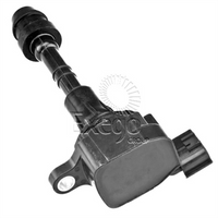 FUELMISER IGNITION COIL DELPHI
