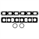 ACL Manifold Set