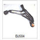 TRANSTEERING Control Arm