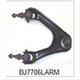 TRANSTEERING Control Arm