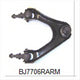 TRANSTEERING Control Arm