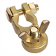 PROJECTA Battery Terminal Brass Heavy Duty Wingnut Positive 1pk