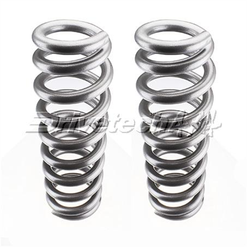 DRIVETECH 4x4 Coil Spring Set - Front Heavy Duty