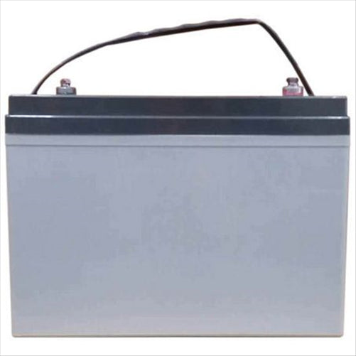 CENTURY DEEP CYCLE AGM BATTERY LPC6-190