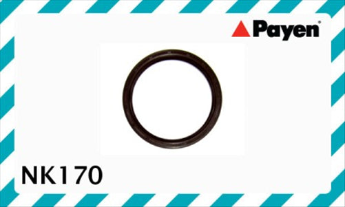 ACL OIL SEAL  9211010 HTCL THO NK170