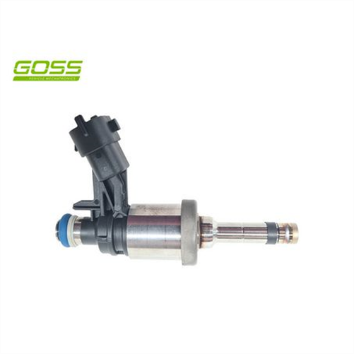 Goss INJECTOR - DIRECT INJ. NEW PID004