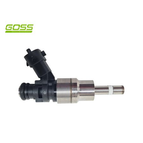 Goss INJECTOR - DIRECT INJ. NEW PID005