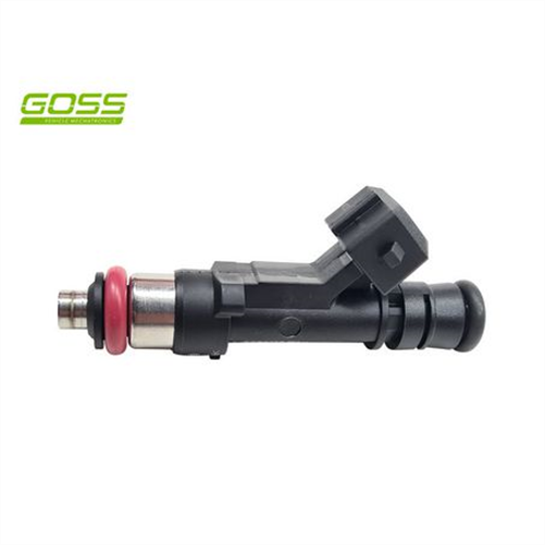 Goss INJECTOR - NEW PIN576