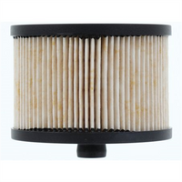RYCO FUEL FILTER