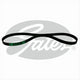 GATES TIMING BELT - 122 X 19MM NEO T T013