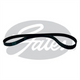 Gates TIMING BELT MAZDA FORD 109x19T FE