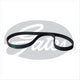 GATES CURVLINEAR TIMING BELT T089