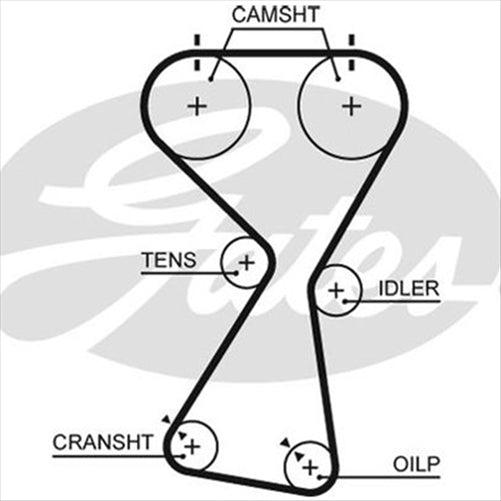 GATES TIMING BELT - 154 X 29MM HSN C T256