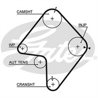 GATES CURVLINEAR TIMING BELT T863