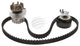 HELLA WATER PUMP & TIMING BELT KIT CITROEN BERLINGO C2 C3 GENUINE TF8136TBK