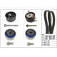 INA Timing belt kit FORD TERRITORY SZ 2.7 TDCi 11-