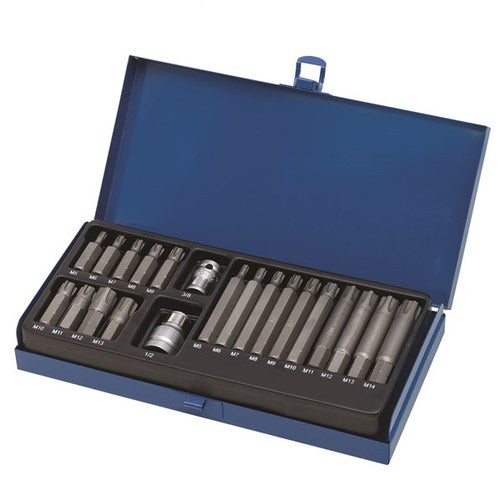 Toledo Bit Set Ribe - 21 Pc.