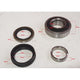 SAS AUTO PARTS WHEEL BEARING KIT WB215