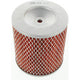 Repco Air Filter RAF143