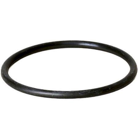Donaldson O Ring P162005