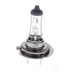 Hella H7 Headlight Bulb Px26D 24V 70W CA2470BULK