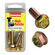 CHAMPION AUTO PARTS Champion Flange Nut Pack 6 x 30 FBM25