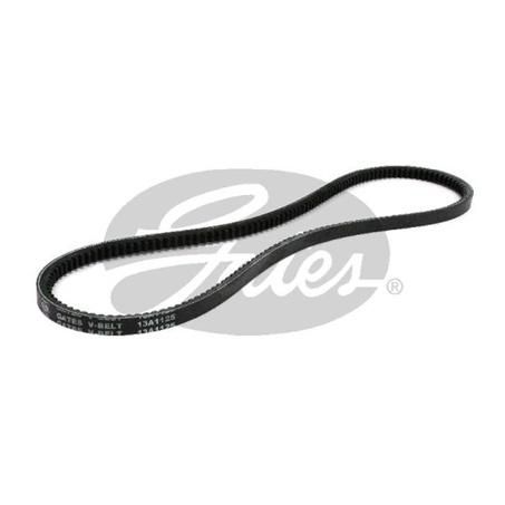 Gates V Drive Belt 13mm Top Width x 1125mm 13A1125