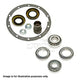DRIVETECH RZH125 8/98-8/04 AUTOMATIC DBK226