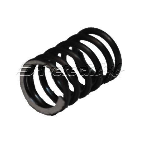 DRIVETECH Spring Detent 5Th