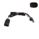 OEX  Oxygen Sensor OOS5400