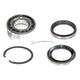 TOYOTA REAR WHEEL BEARING KIT AB6118