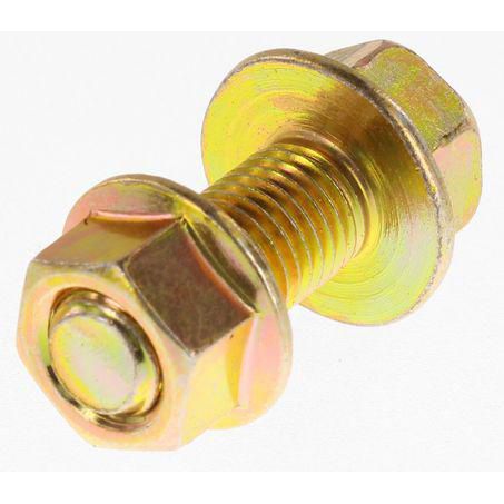 CHAMPION AUTO PARTS Champion Flange Nut Pack 10 x 25 x 1.25 FBM104