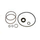 Powaseal Steering Pump Seal Kit PRK35000
