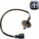 OEX  Oxygen Sensor OOS5462