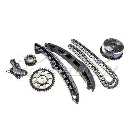 TRUFLOW AUDI SKODA VOLKSWAGEN PUMPS CHAIN TIMING KIT - WITH GEARS TCK1031VG