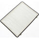 RYCO CABIN AIR FILTER - HOLDEN CAPTIVA RCA194P