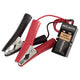 PROJECTA Interim Power Supply