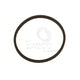 TRANSTEC PTFE RING R & P TRW PIN VLV SLVE GR-2900