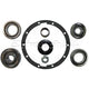 DRIVETECH Differential Overhaul Kit