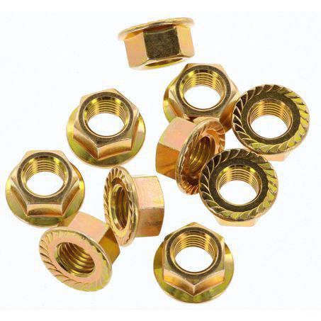 CHAMPION AUTO PARTS Champion Flange Nut Pack M10 x 1.25 FBM164