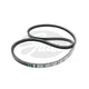 Gates Drive Belt 17A1645